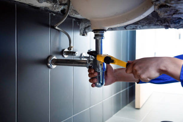 Best Garbage Disposal Repair and Installation  in Hilltop, SC